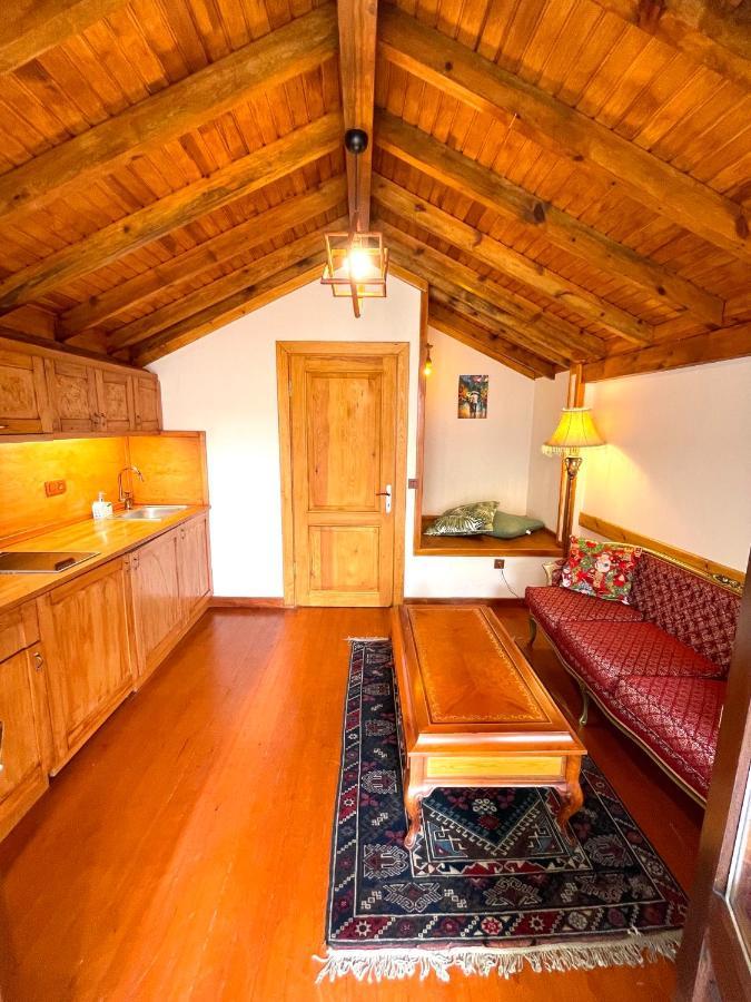 Authentic Turkish Home Family Room Κωνσταντινούπολη Εξωτερικό φωτογραφία